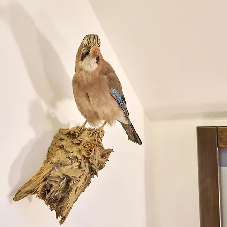 Mazurova By Interhome