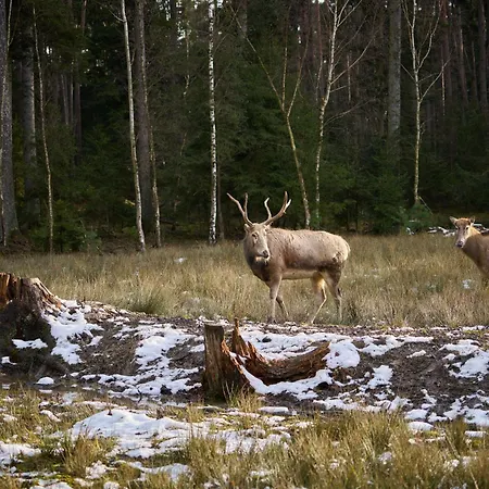 Ferienhaus Mazurova By Interhome Byst (Pardubice)